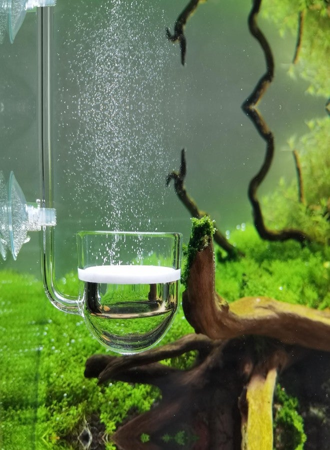 JARDLI Music Glass CO2 Diffuser for Aquarium Plant (2'' for Tank Beyond 75 gallons) - Image 1